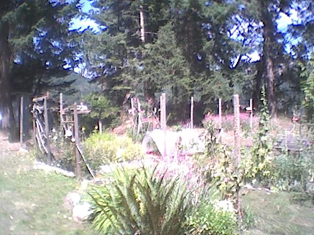 Image32.JPG (63753 bytes)