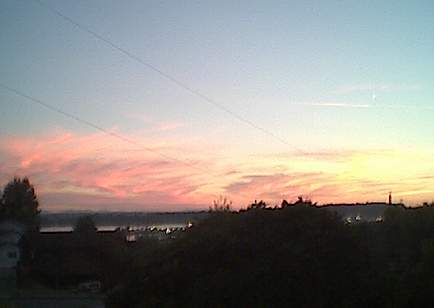 NEW5.JPG (9785 bytes)