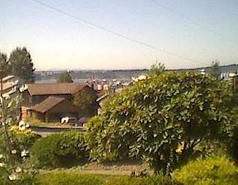NEW6.JPG (18607 bytes)