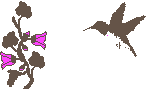 anifeeder.gif (3937 bytes)