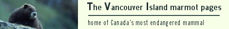 marmot.gif (11165 bytes)