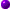 p-bullet.gif (188 bytes)
