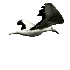 seagull.gif (3866 bytes)