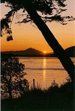 sunset.jpg